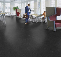 Forbo Marmoleum Decibel on Order 370735 black hole фото 2 | FLOORDEALER